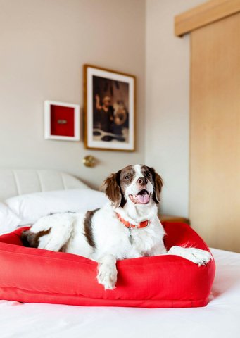 VIRGIN HOTELS NASHVILLE - Photo 45