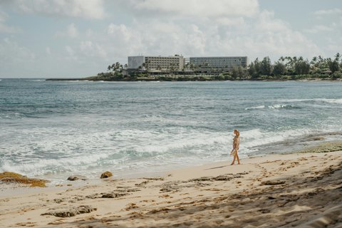 RITZ CARLTON OAHU TURTLE BAY - Photo 15