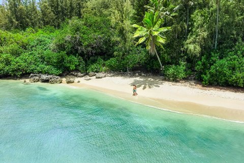 RITZ CARLTON OAHU TURTLE BAY - Photo 125