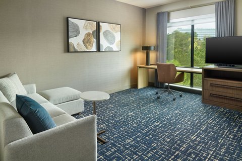 One Bedroom Suite Living Area