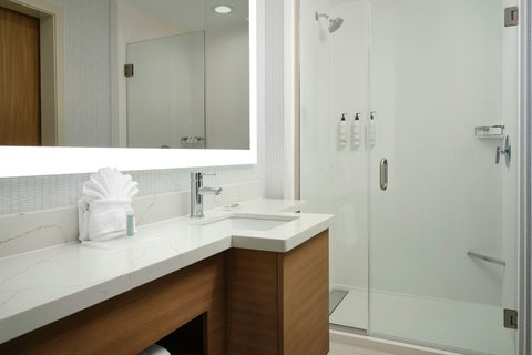 Guest Bathroom Shower