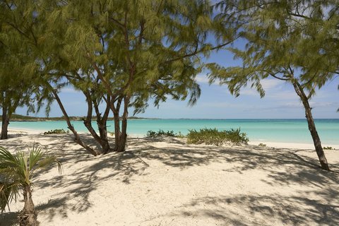 Whale Tail Beach