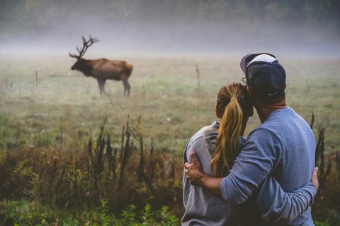 Local attraction ()