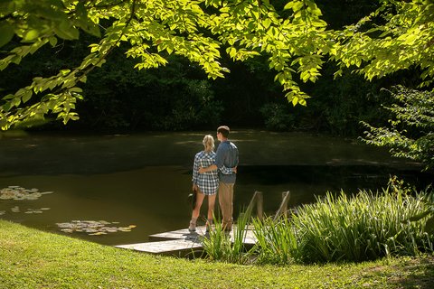 lake