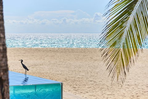 Thanda Island Accommodation Villa Pool Beach Bird Hywell Waters