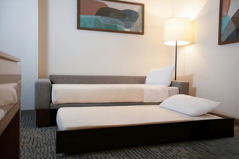 West Elm Sofa Bed