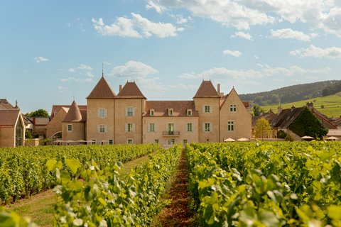 ChÃ¢teau la Commaraine from the vineyards