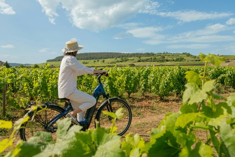 Bike ride in the vineyards