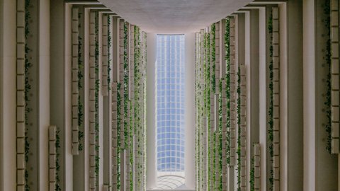 Skylight in the hotel\'s soaring atrium