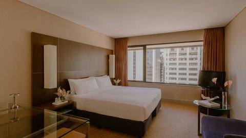 King Classic Room showing room space and city views