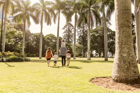 Stroll Through Brisbane\'s Iconic City Botanic Gardens