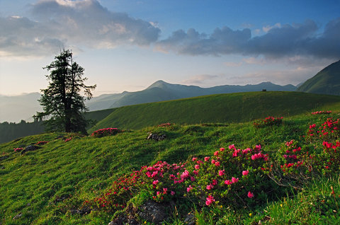 TSCHUGGEN GRAND HOTEL - Photo 64