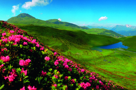 TSCHUGGEN GRAND HOTEL - Photo 59