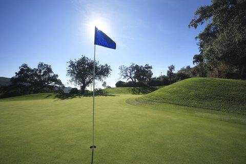 PUENTE ROMANO MARBELLA - Photo 49