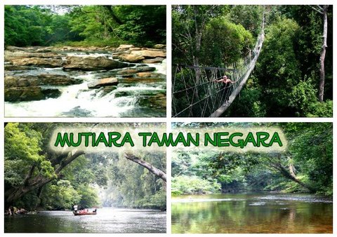 MTNNature