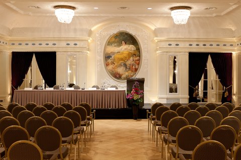 BELLEVUE PALACE - Photo 87