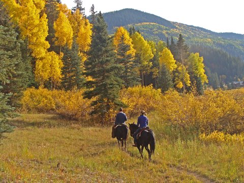 Horseback Riding During Fall