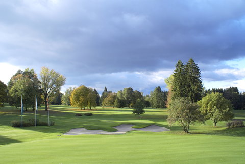 CHALET ROYALP HOTEL AND SPA - Photo 46