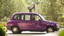  - Hacienda & Spa at Hotel Santa Fe