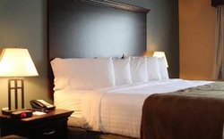  - Watford Hotel