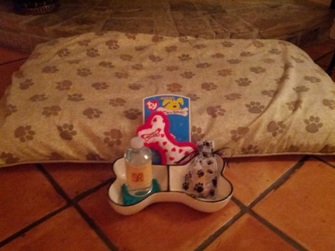 SAN YSIDRO RANCH - Photo 42