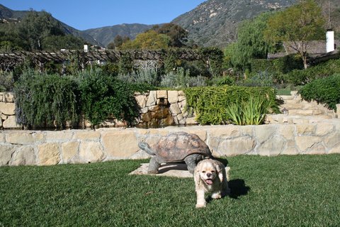 SAN YSIDRO RANCH - Photo 43