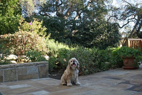 SAN YSIDRO RANCH - Photo 45