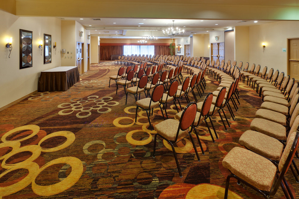 HOLIDAY INN DUBLIN BY IHG-guestroom-Holiday Inn Hotel Dublin-Pleasanton Tralee Room.jpg