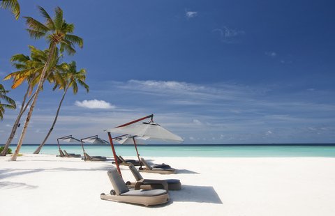 Beach View 