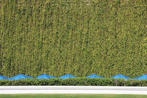 137 PILLARS HOUSE - Photo 17