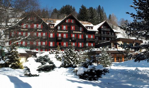 ROMANTIK HOTEL SCHWEIZERHOF - Photo 14