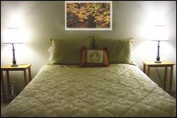  - All Seasons Groveland Inn