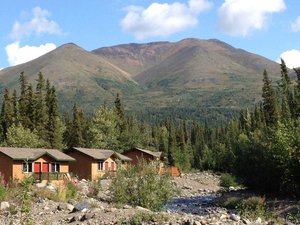 Mckinley Creekside Cabins Denali National Park Ak See Discounts