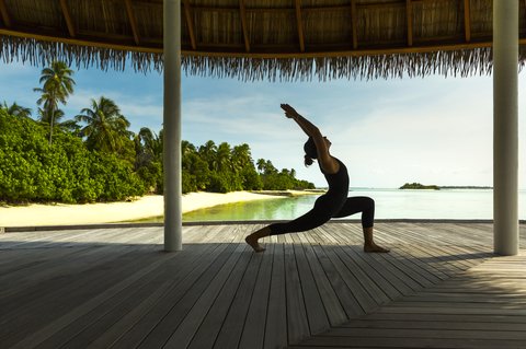 COMO MAALIFUSHI MALDIVES - Photo 44