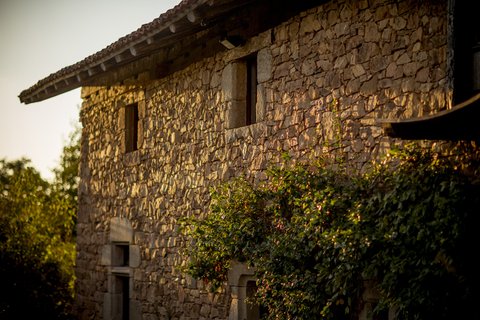 DOMAINE DES ETANGS - Photo 42