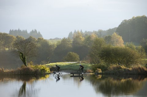 DOMAINE DES ETANGS - Photo 66