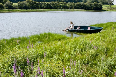 DOMAINE DES ETANGS - Photo 67
