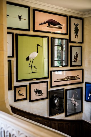 DOMAINE DES ETANGS - Photo 14