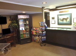  - Americas Best Value Inn South Lake Tahoe