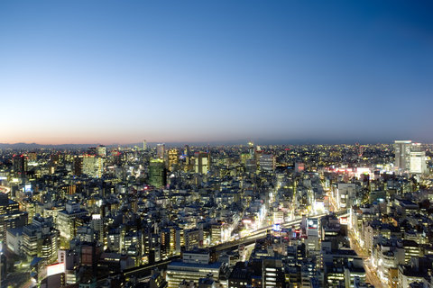 MANDARIN ORIENTAL TOKYO - Photo 8