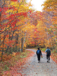  - Canyon Ranch Lenox