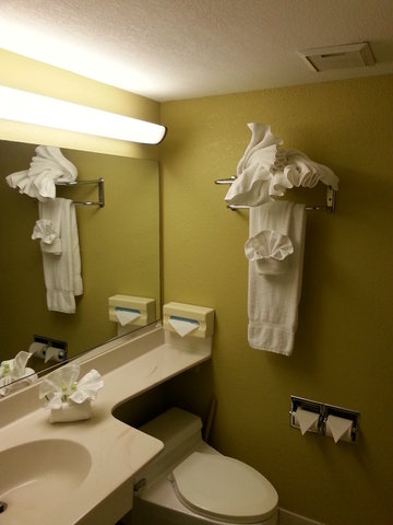 VISTA INN ON LAKE TARPON-guestroom-Guest Room Bathroom.jpg