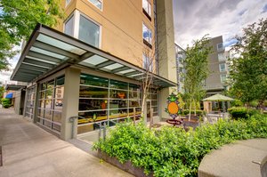 seattle hotel watertown staypineapple pineapple wa hospitality deals piece tripadvisor check hotels 1550