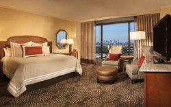  - Omni Mandalay Hotel Irving