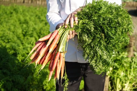 SIX SENSES QING CHENG MOUNTAIN - Photo 62