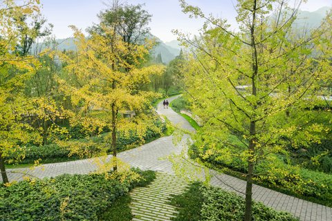 SIX SENSES QING CHENG MOUNTAIN - Photo 46