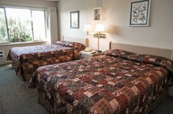  - Polynesian Resort Ocean Shores