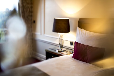 BELLEVUE PALACE - Photo 15