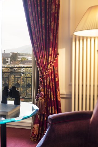 BELLEVUE PALACE - Photo 11