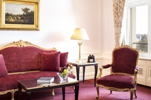 BELLEVUE PALACE - Photo 23